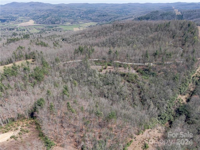 8B Reserve Rd, Pisgah Forest, NC 28768 - photo 14