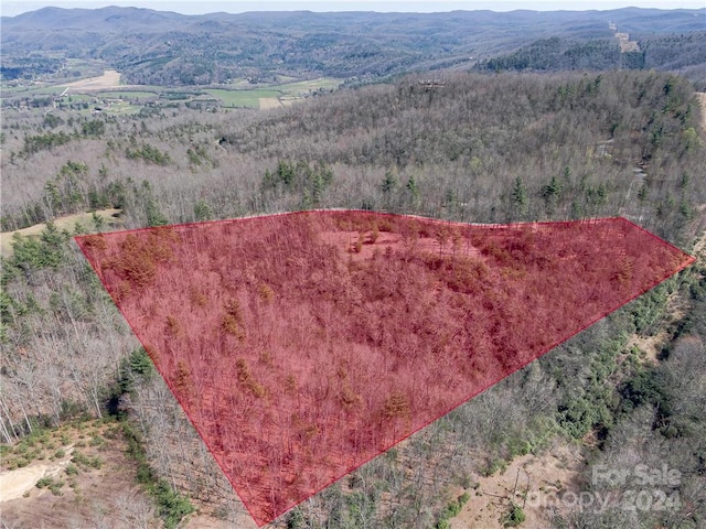 8B Reserve Rd, Pisgah Forest, NC 28768 - photo 15