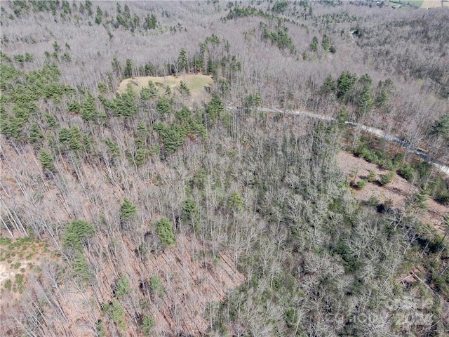 8B Reserve Rd, Pisgah Forest, NC 28768 - photo 16