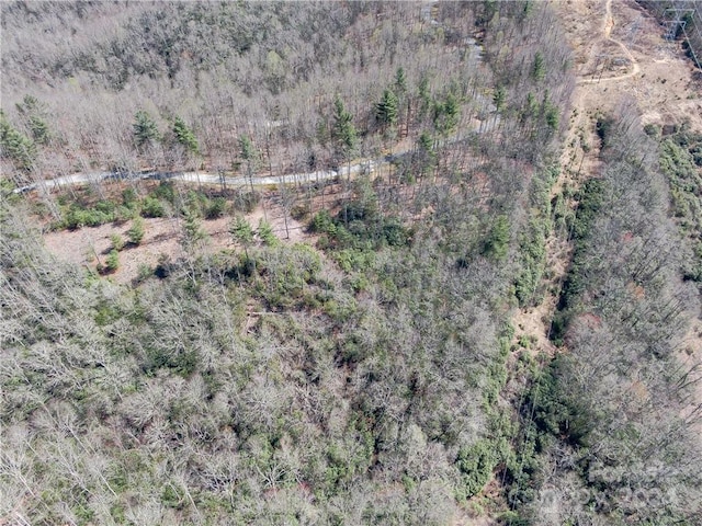 8B Reserve Rd, Pisgah Forest, NC 28768 - photo 17