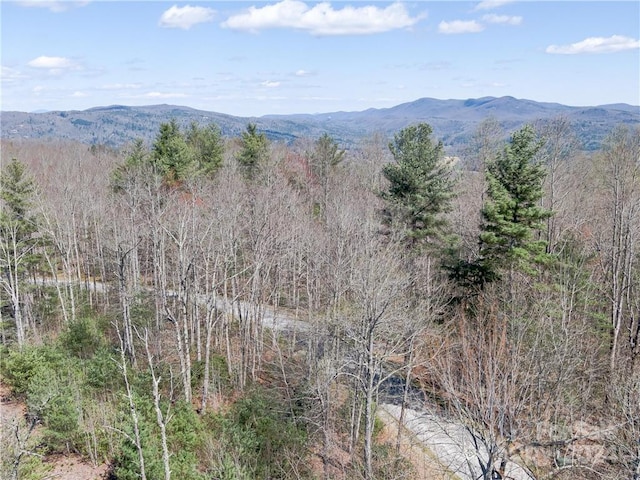 8B Reserve Rd, Pisgah Forest, NC 28768 - photo 18
