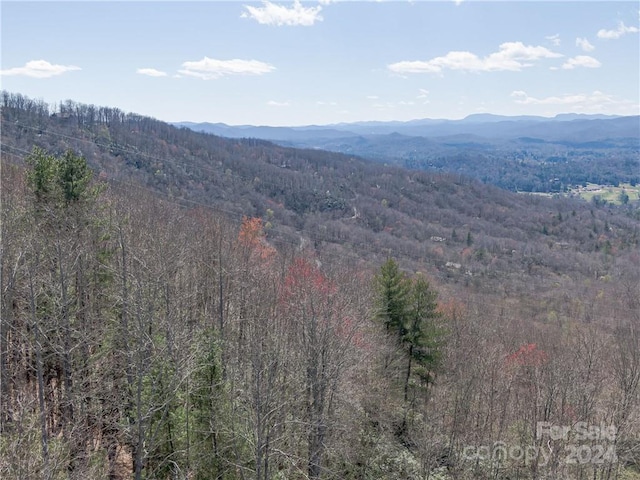 8B Reserve Rd, Pisgah Forest, NC 28768 - photo 19