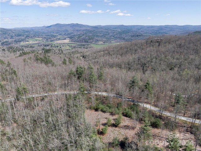 8B Reserve Rd, Pisgah Forest, NC 28768 - photo 20