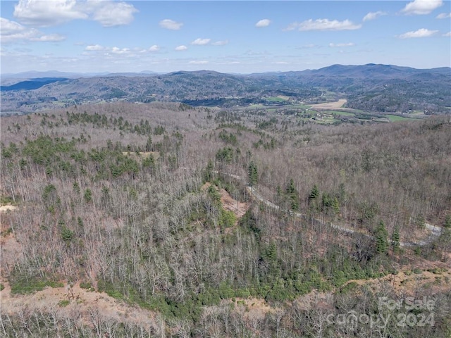 8B Reserve Rd, Pisgah Forest, NC 28768 - photo 21