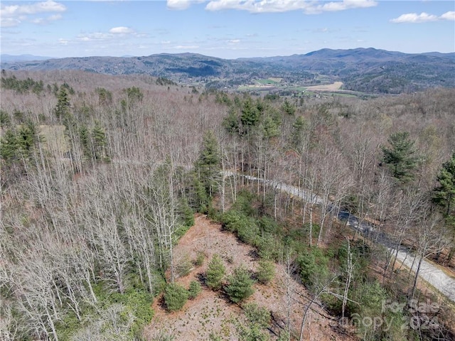 8B Reserve Rd, Pisgah Forest, NC 28768 - photo 22