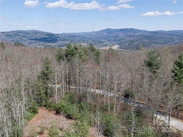 8B Reserve Rd, Pisgah Forest, NC 28768 - photo 23