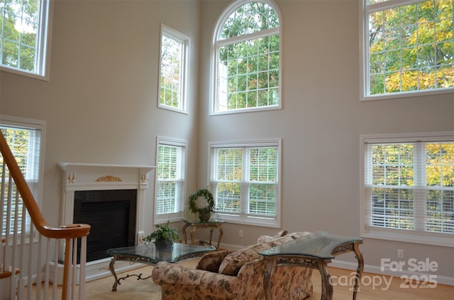 living room with a high ceiling