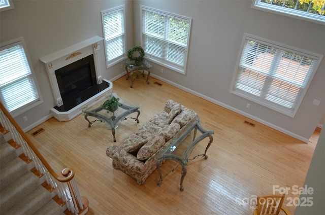 living room with hardwood / wood-style floors and plenty of natural light