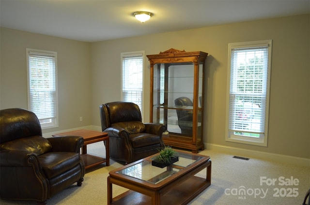 view of carpeted living room