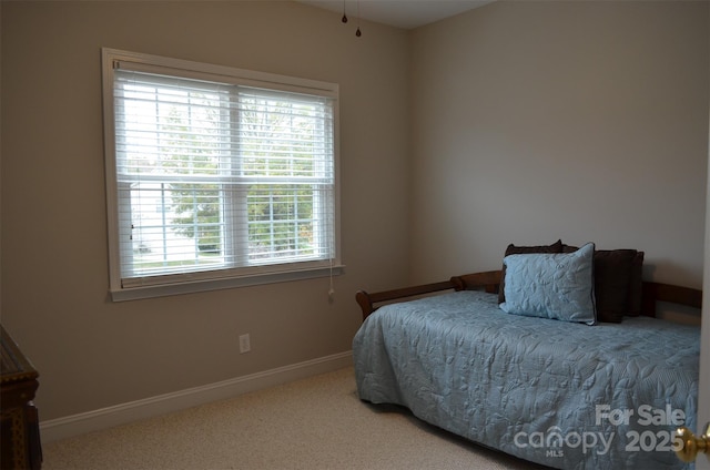 bedroom with multiple windows and carpet