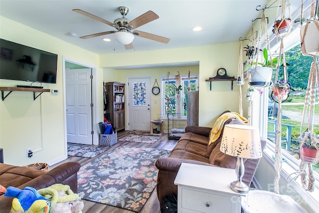 living room with ceiling fan, hardwood / wood-style flooring, and a healthy amount of sunlight