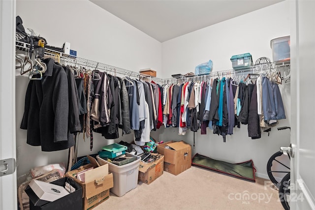 spacious closet featuring carpet floors