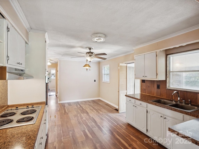 kitchen with light wood-type flooring, white cooktop, crown molding, sink, and white cabinets