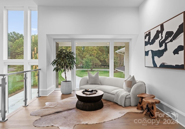 living room with light hardwood / wood-style flooring