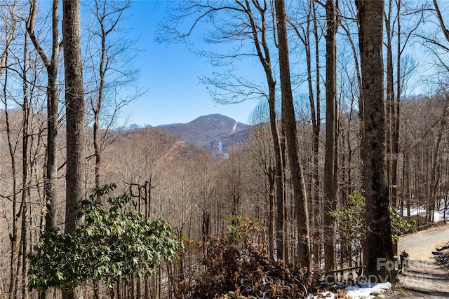 mountain view featuring a wooded view