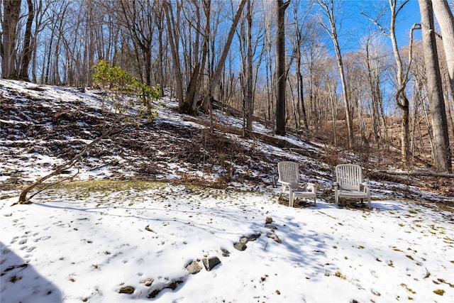 view of yard covered in snow