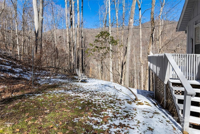 view of yard covered in snow