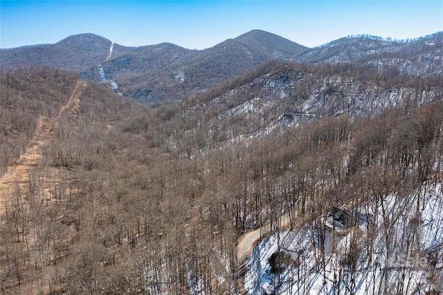 view of mountain feature