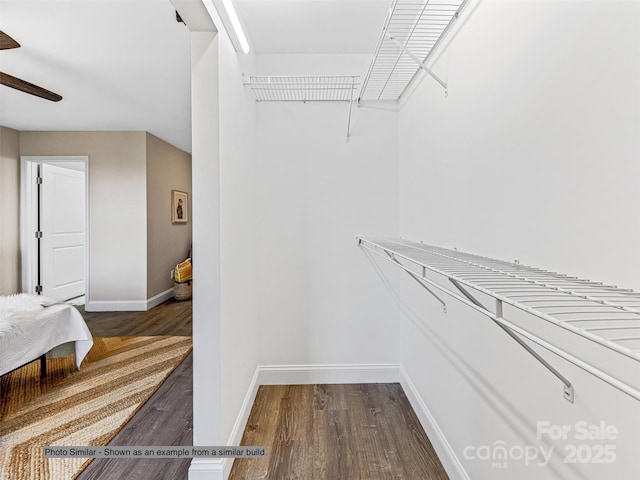 walk in closet with dark hardwood / wood-style floors