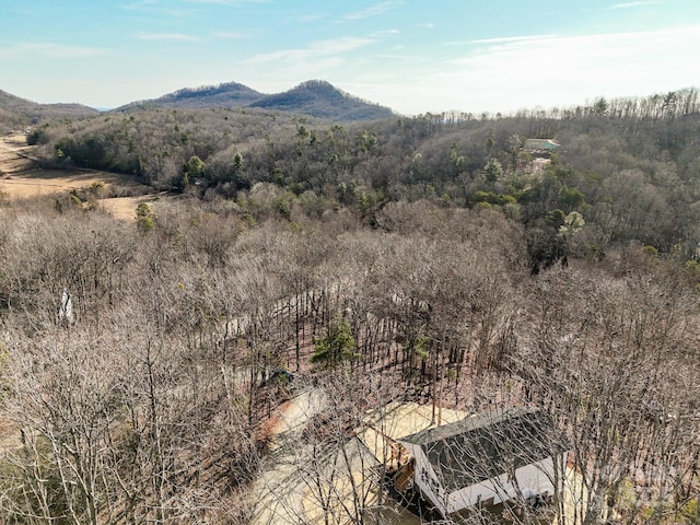 view of mountain feature