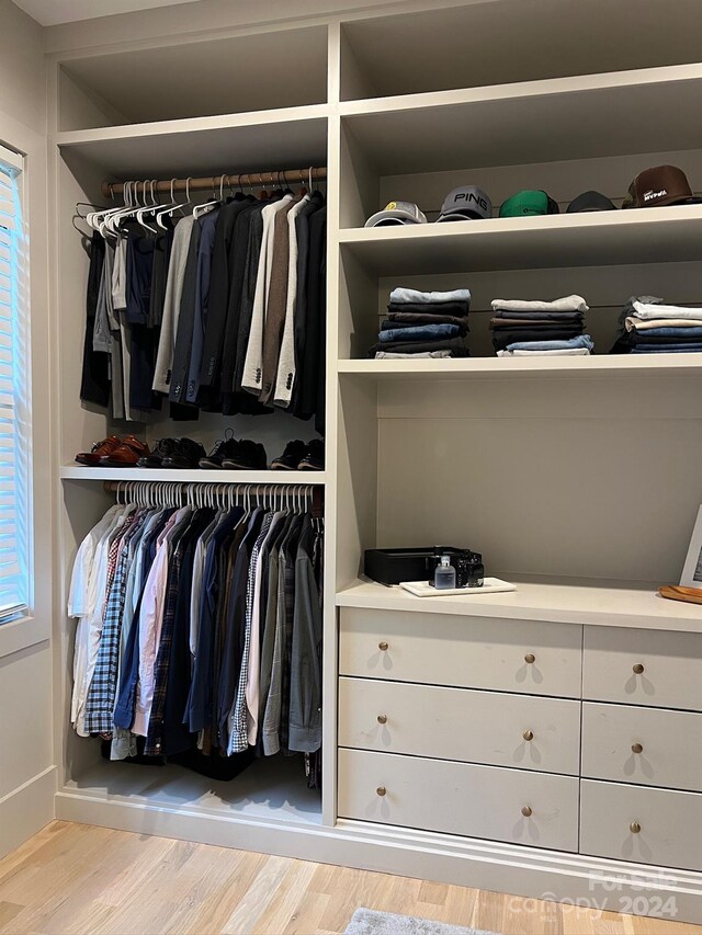 view of closet