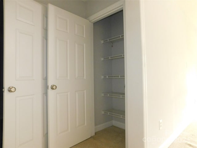 view of closet