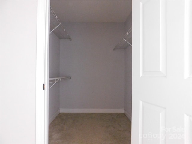 spacious closet with light colored carpet