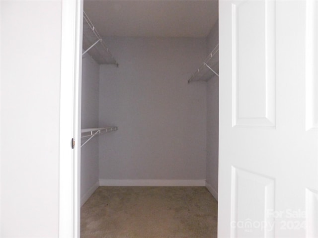 walk in closet with light carpet