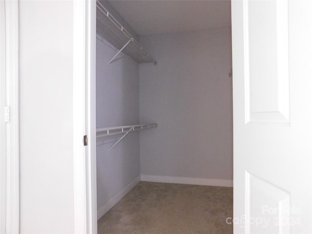 spacious closet with light colored carpet