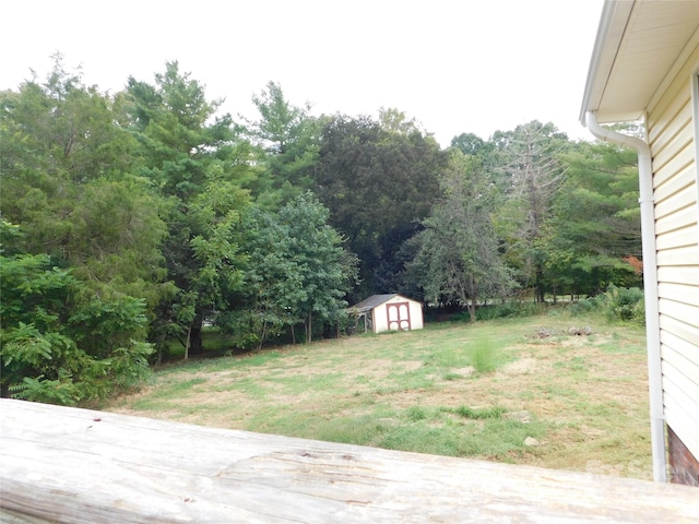 view of yard featuring a storage unit