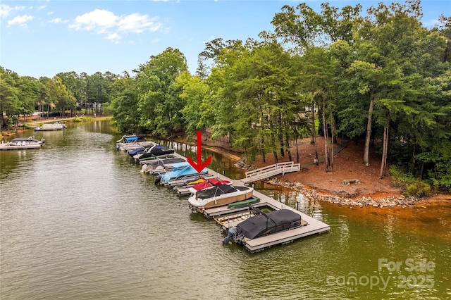 dock area featuring a water view