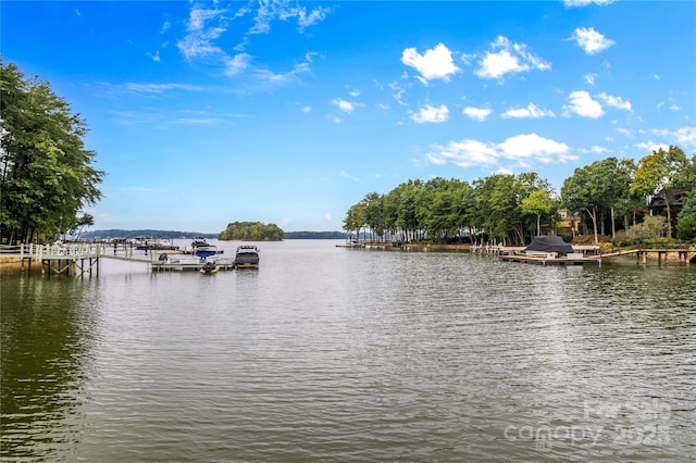 property view of water with a dock