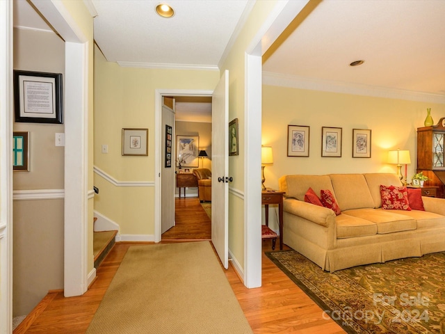 living room featuring light hardwood / wood-style floors and crown molding