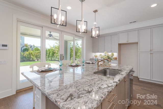 kitchen featuring sink, dark hardwood / wood-style flooring, an island with sink, and plenty of natural light