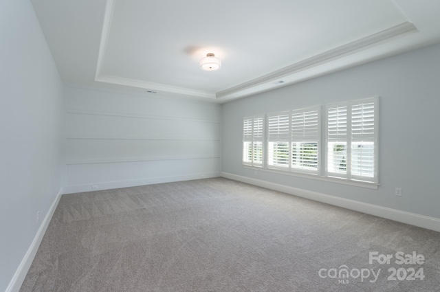 carpeted empty room featuring a raised ceiling