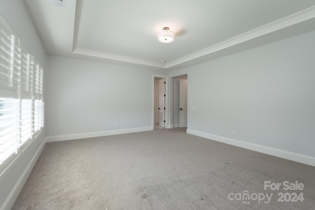 carpeted spare room featuring a raised ceiling and crown molding