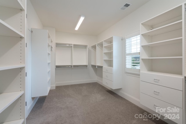 walk in closet with light carpet