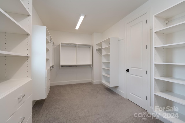 walk in closet with light colored carpet