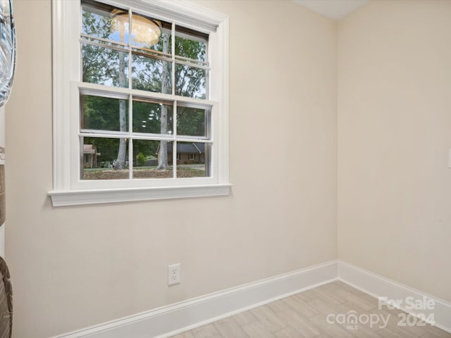 spare room with light hardwood / wood-style flooring and plenty of natural light