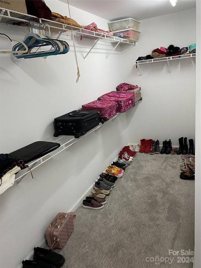 walk in closet featuring carpet floors