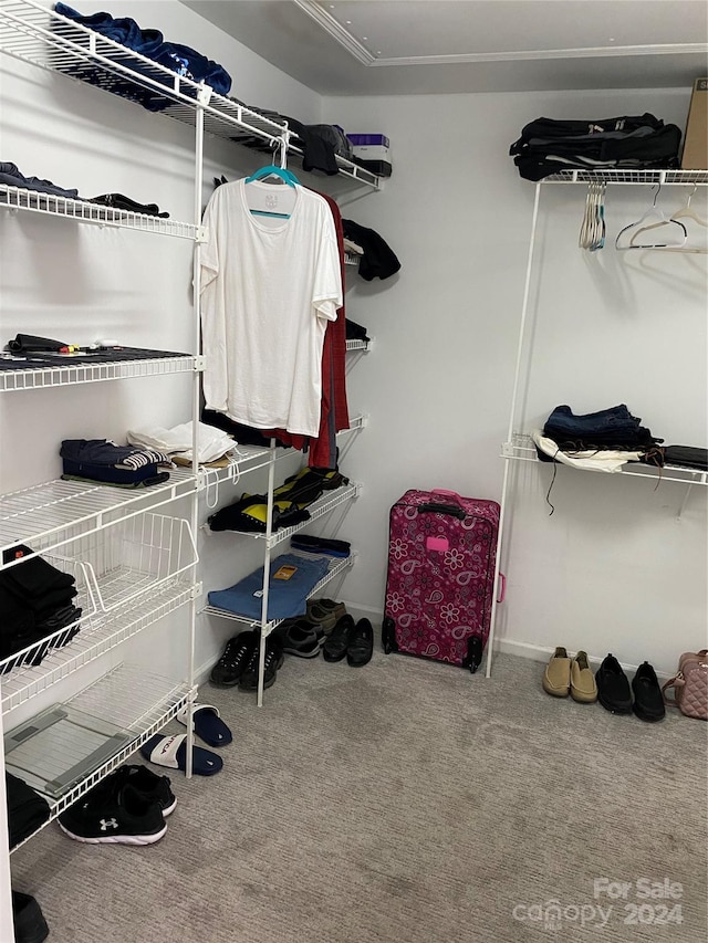 walk in closet featuring carpet floors