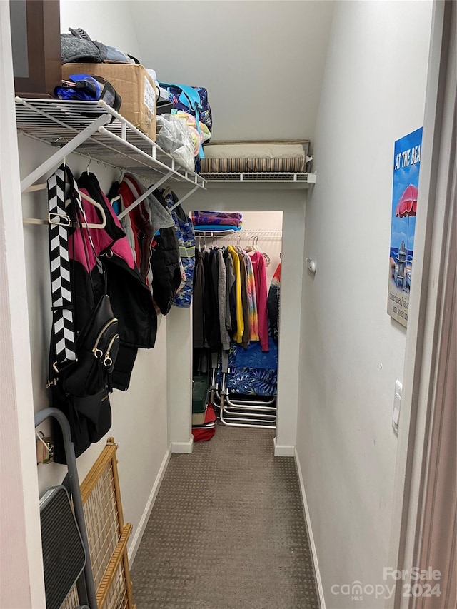 spacious closet with carpet