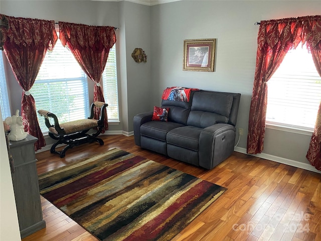 living room with ornamental molding and hardwood / wood-style floors