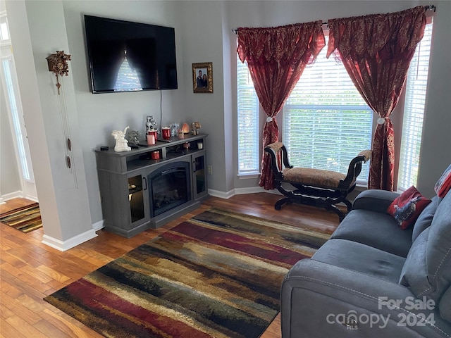 living room featuring hardwood / wood-style flooring and plenty of natural light