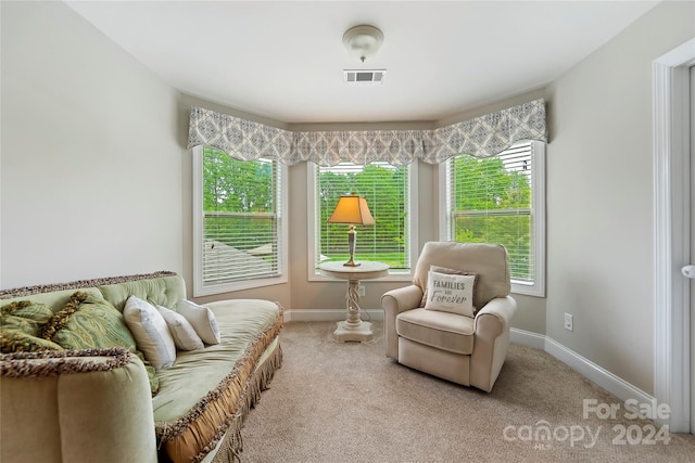 living area featuring light colored carpet