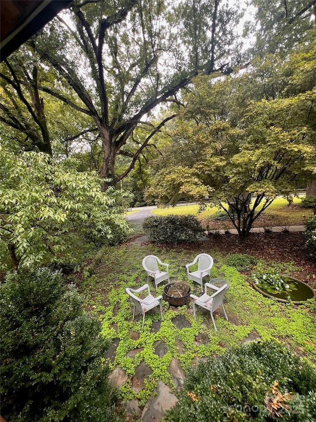 view of yard featuring a fire pit