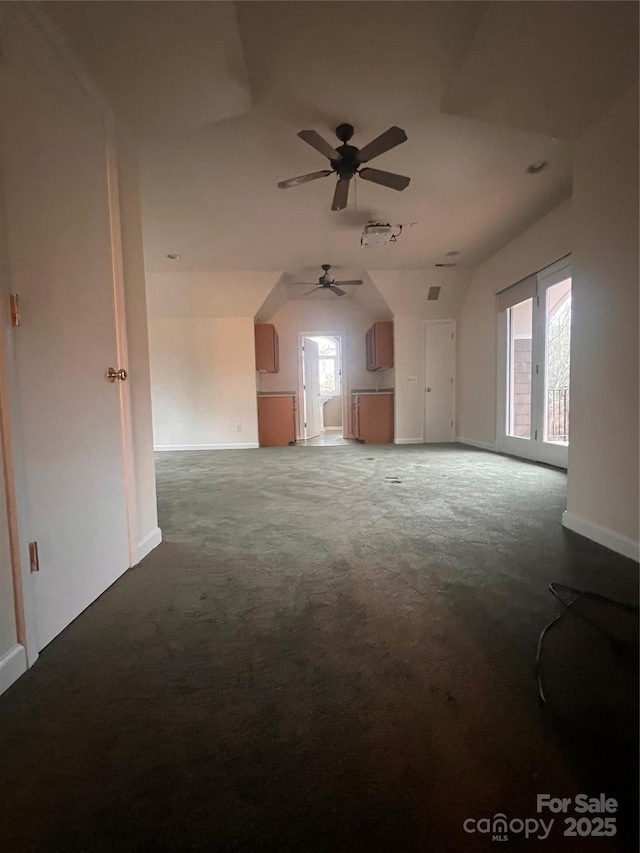 additional living space with carpet floors