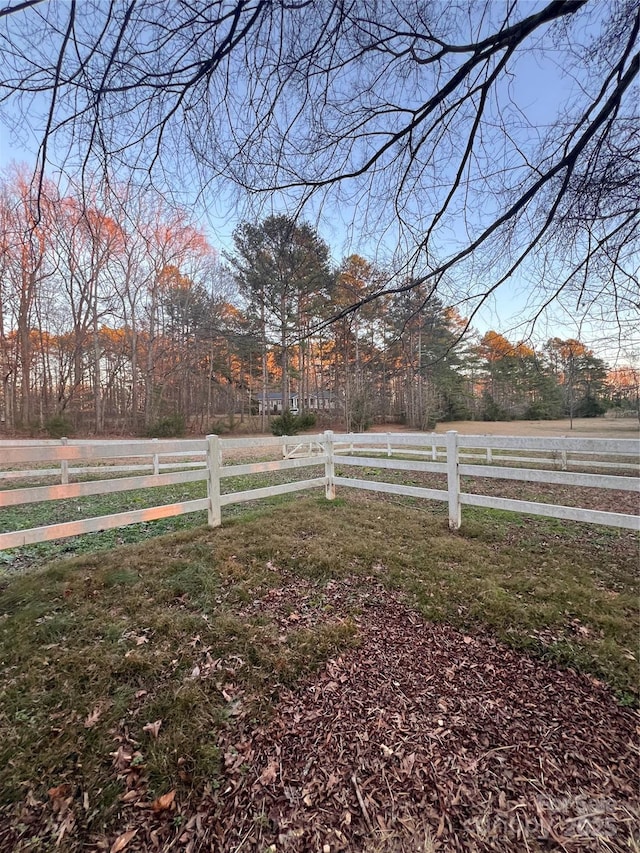 view of yard with a rural view