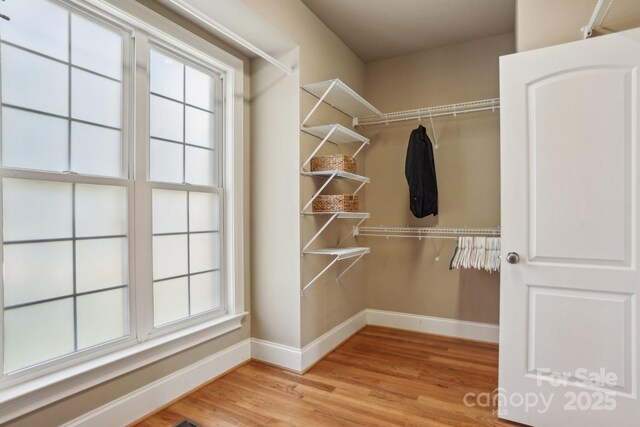 spacious closet featuring light wood-style flooring