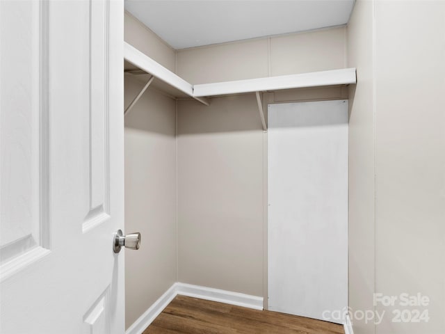 spacious closet with dark wood-type flooring